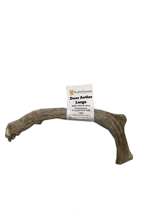 Natural Dog Co. Deer Antler, Large