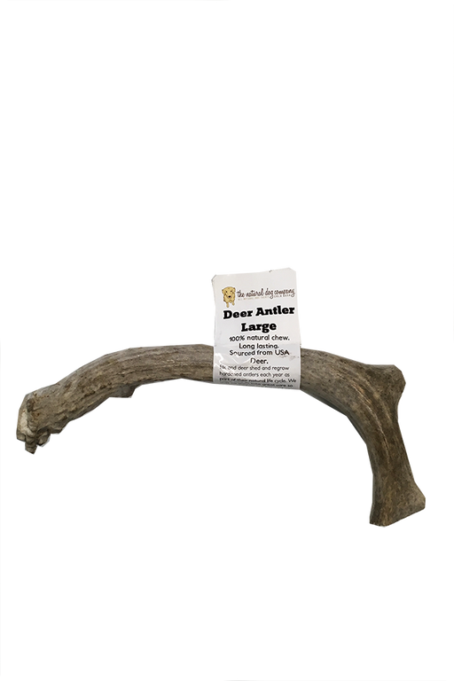 Natural Dog Co. Deer Antler, Large
