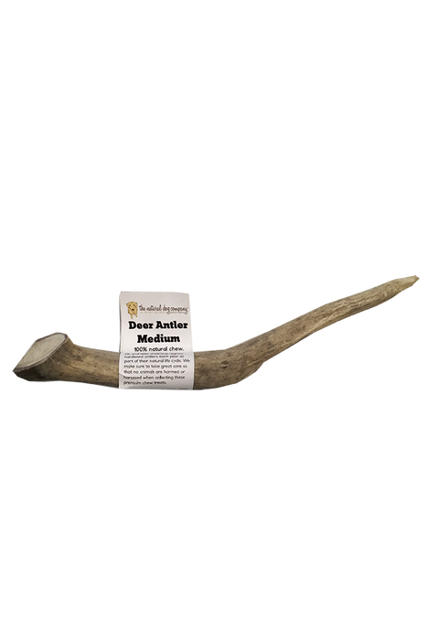 Natural Dog Co. Deer Antler, Medium