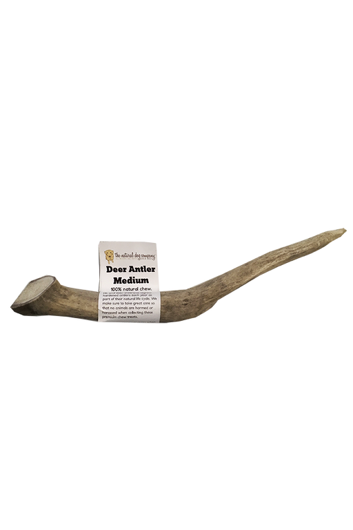 Natural Dog Co. Deer Antler, Medium