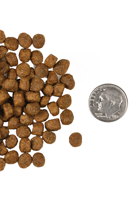 Fromm 4 Star Salmon A La Veg Dry Cat Food