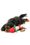 FuzzYard Wrapped Rose Dog Toy