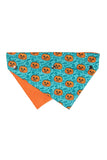 FuzzYard Jack Jack Jackie Lantern Teal Pet Bandana