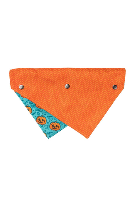 FuzzYard Jack Jack Jackie Lantern Teal Pet Bandana