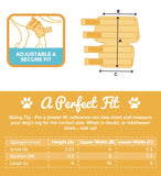 ZenPet Hock Wrap For Dogs