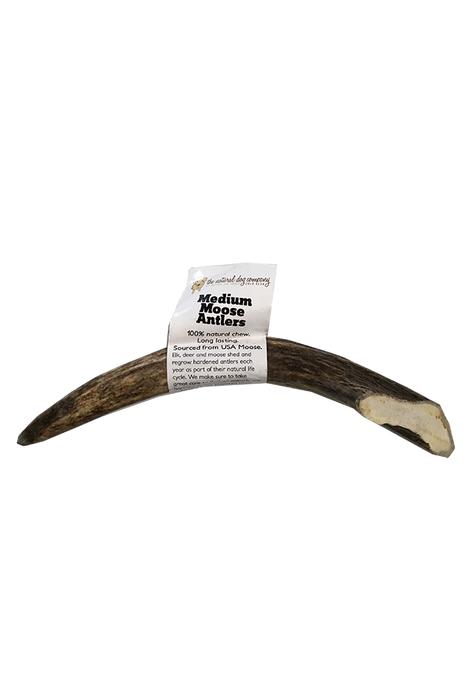 Natural Dog Co. Moose Antler, Medium