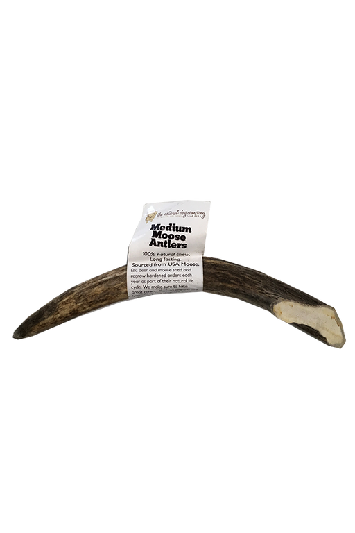 Natural Dog Co. Moose Antler, Medium