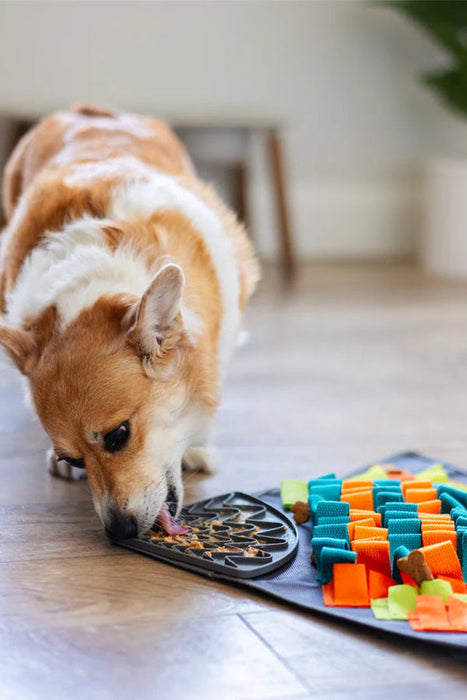 Messy Mutts Square Forage Snuffle Mat with Suction