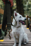 New Earth Soy Forest Green Dog Leash