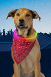 Nite Ize NiteHowl Bandana Rechargeable LED Safety Necklace