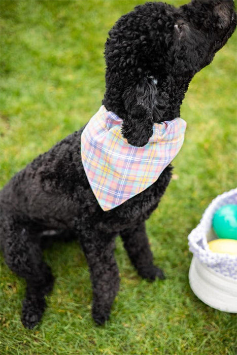 Pearhead Spring Plaid Pet Bandana