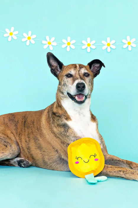 Petshop In Full Bloom Durable Dog Toy