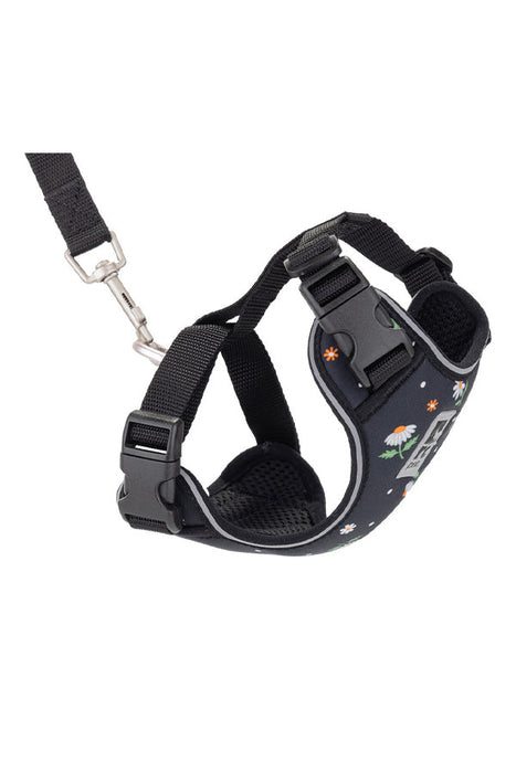 RC Pets Adventure Daisies Cat Harness