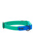 RC Pets Waterproof Parakeet and Sapphire Dog Collar