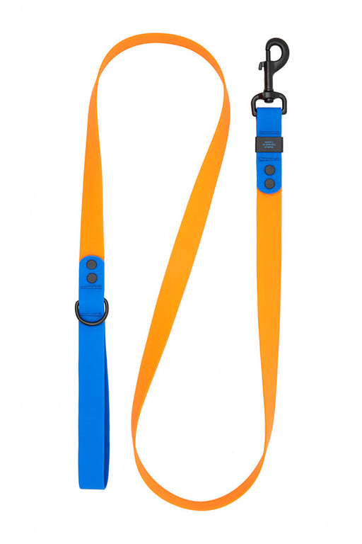 RC Pets Waterproof Azalea and Orange Dog Leash