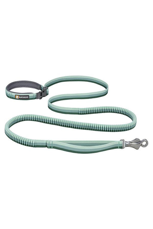 Ruffwear Roamer River Rock Green Bungee Dog Leash
