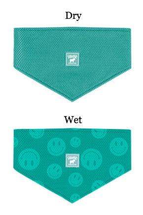 Canada Pooch Chill Seeker Wet Reveal Smiley Cooling Bandana